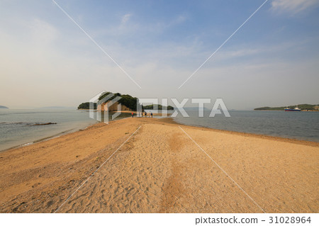 Kagawa prefecture Tonosho-cho morning angel road Kagawa prefecture Tonosho-cho morning angel road 31028964