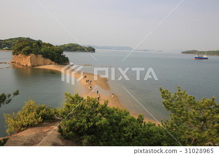 Kagawa prefecture Tonosho-cho morning angel road Kagawa prefecture Tonosho-cho morning angel road 31028965