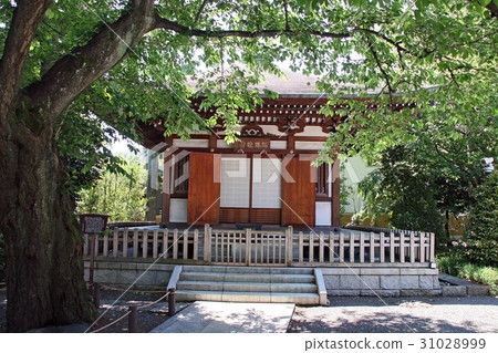 SatoshiKiyoshitera 31028999