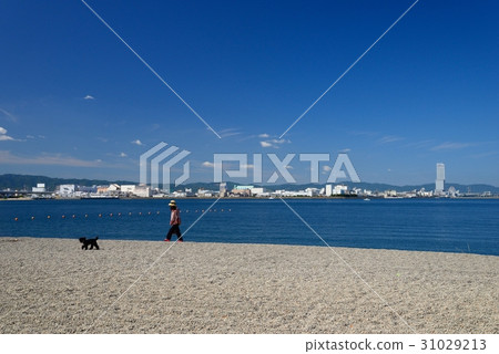 Nikuhonohama風景 Nikuhonohama風景 31029213