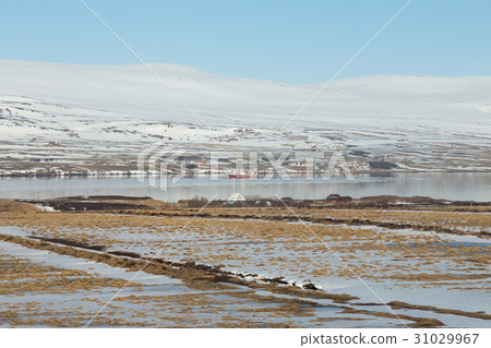 Iceland winter season snow covered landscape 31029967
