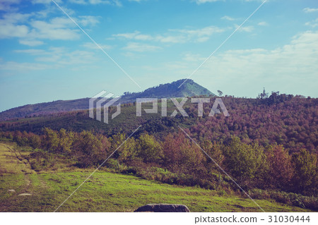 Beautiful of nature summer, mountain landscape. 31030444