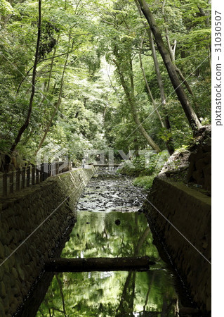 Isenga Valley (Setagaya Ward) 31030507