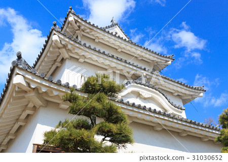 Marugamei  -  Ishigaki no Masaki  - 現有的Twelve Tenshi  -  31030652