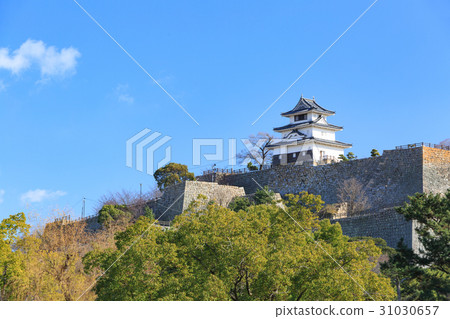 Marugamei  -  Ishigaki no Masaki  - 現有的Twelve Tenshi  -  31030657