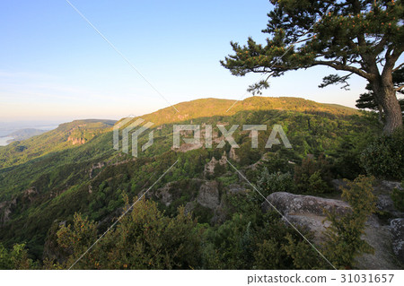 從小豆島町香川縣的Shibasaku的早晨風景（表12，第12次的風景） 31031657
