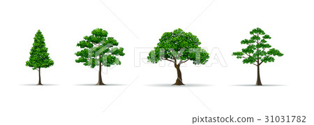 tree set realistic vector illustration 31031782