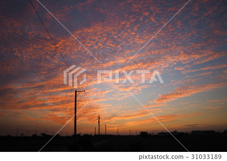 夕陽 31033189