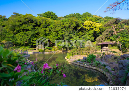 Higo Hosokawa Garden (New Edogawa Park) Higo Hosokawa Garden (New Edogawa Park) 31033974