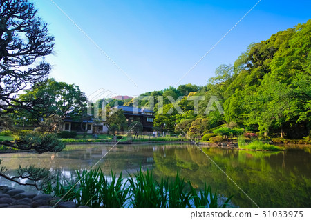 Higo Hosokawa Garden (New Edogawa Park) 31033975