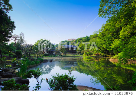 Higo Hosokawa Garden (New Edogawa Park) Higo Hosokawa Garden (New Edogawa Park) 31033976