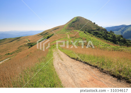 愛媛縣四國中央城市Shiozuka高原風景 愛媛縣四國中央城市Shiozuka高原風景 31034617