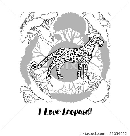 Leopard print Leopard print 31034922
