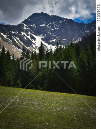 Spring mood in the high mountains Spring mood in the high mountains 31035038