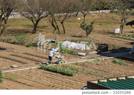 I am working woman walking on the field road I am working woman walking on the field road 31035260