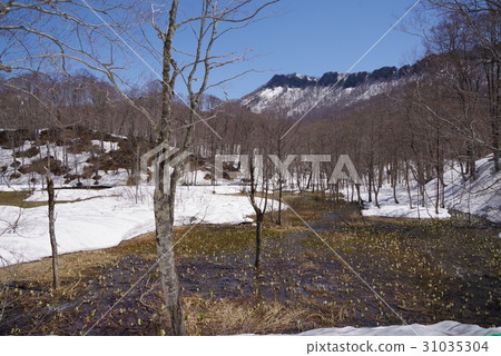 Kinasa Kinasa 31035304