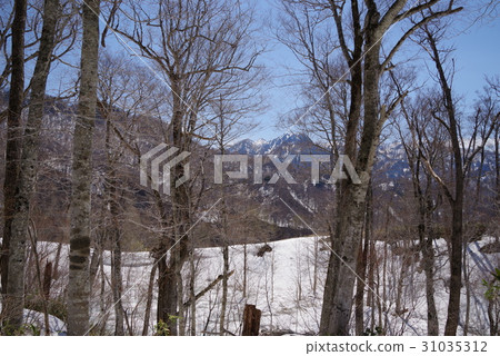 Kinasa Kinasa 31035312