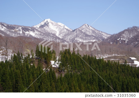 Kinasa Kinasa 31035360