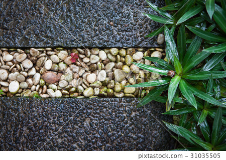 The grass next to the pavement of flint stones The grass next to the pavement of flint stones 31035505