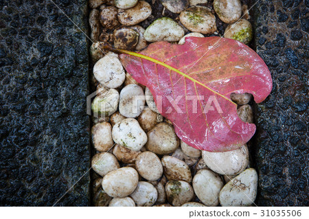 Pavement of round stones background Pavement of round stones background 31035506