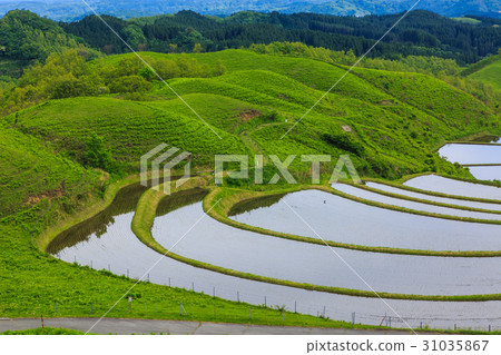 樊水稻梯田淡水景觀熊本縣三浜山村 樊水稻梯田淡水景觀熊本縣三浜山村 31035867