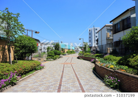 Toyoko Flower Green Road 31037199