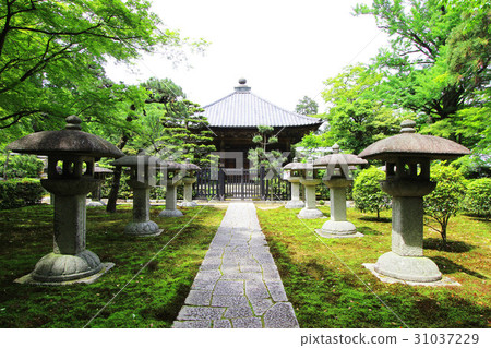 Charlotte Charlotte 31037229