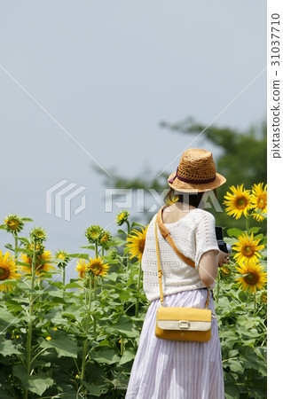 Let's enjoy it even in hot summer 31037710