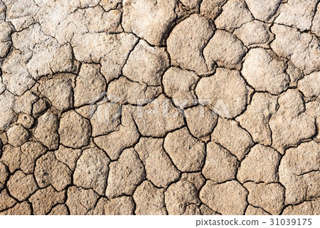 Moisture deficient rough skin image 31039175