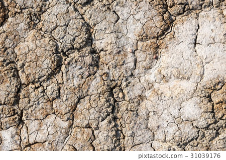 Moisture deficient rough skin image Moisture deficient rough skin image 31039176