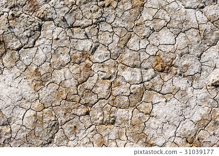 Moisture deficient rough skin image 31039177