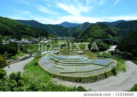 Rice terraces of Aritagawa and Akishima 31039880