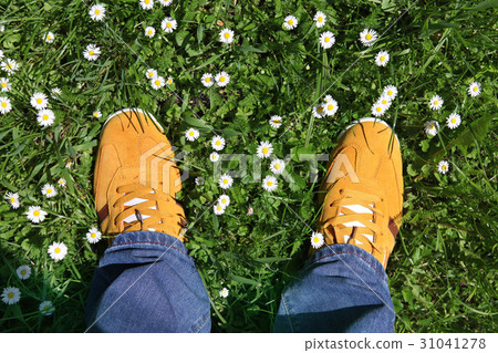 sports shoes on green grass sports shoes on green grass 31041278