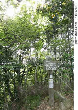在Yodai峰會上的跡象 在Yodai峰會上的跡象 31042889