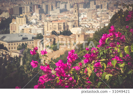 Panorama of Malaga, Spain Panorama of Malaga, Spain 31049421