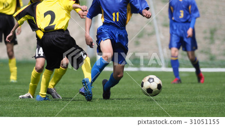 Football football 31051155