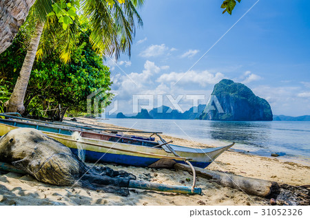 Fishing boat and net on shore under palms.Tropical 31052326