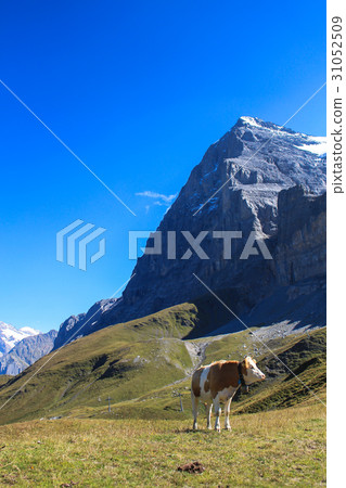Kleine Scheideik 31052509