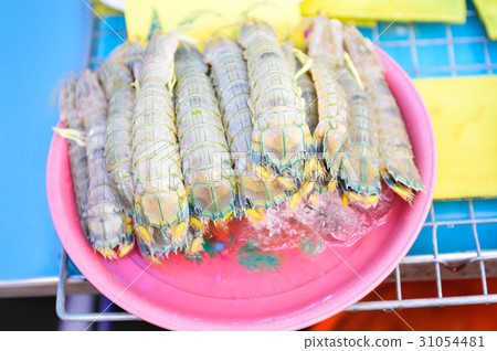 Fresh Mantis shrimp or Stomatopods in fish market Fresh Mantis shrimp or Stomatopods in fish market 31054481