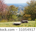 阿塔戈山 31054917