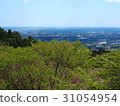 阿塔戈山 31054954