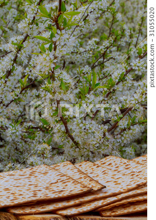Pesach with wine and matzoh jewish passover bread Pesach with wine and matzoh jewish passover bread 31055020