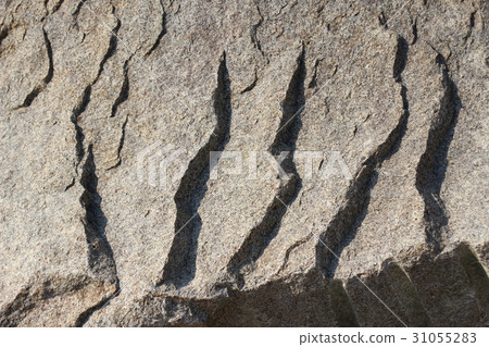 Rough rough skin Rough rough skin 31055283