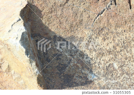 粗糙的皮膚 31055305