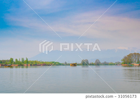 Dal lake, Kashmir India 31056173