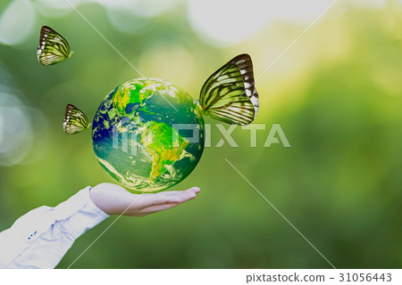 Green world and butterfly in man hand, green back Green world and butterfly in man hand, green back 31056443