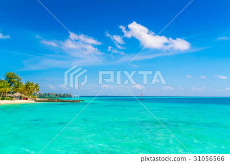Beautiful tropical Maldives island with white sandy beach and sea . Beautiful tropical Maldives island with white sandy beach and sea . 31056566