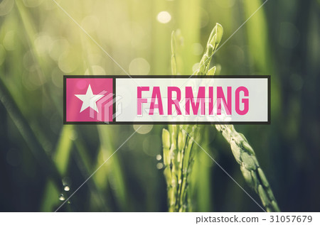 Alternative Farming Sustainable Nature Concept Alternative Farming Sustainable Nature Concept 31057679