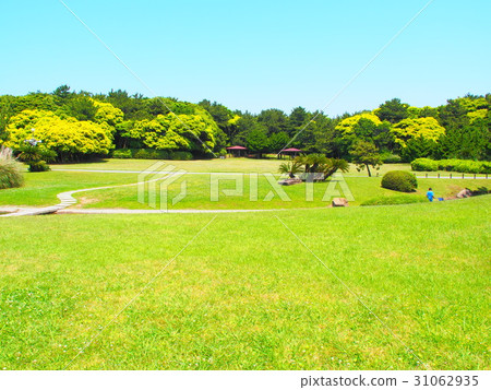 Inage公園的東方美麗的新鮮綠色的五月 Inage公園的東方美麗的新鮮綠色的五月 31062935