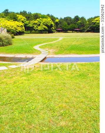 Inage Park of Oriental Beautiful fresh green of May 31062942